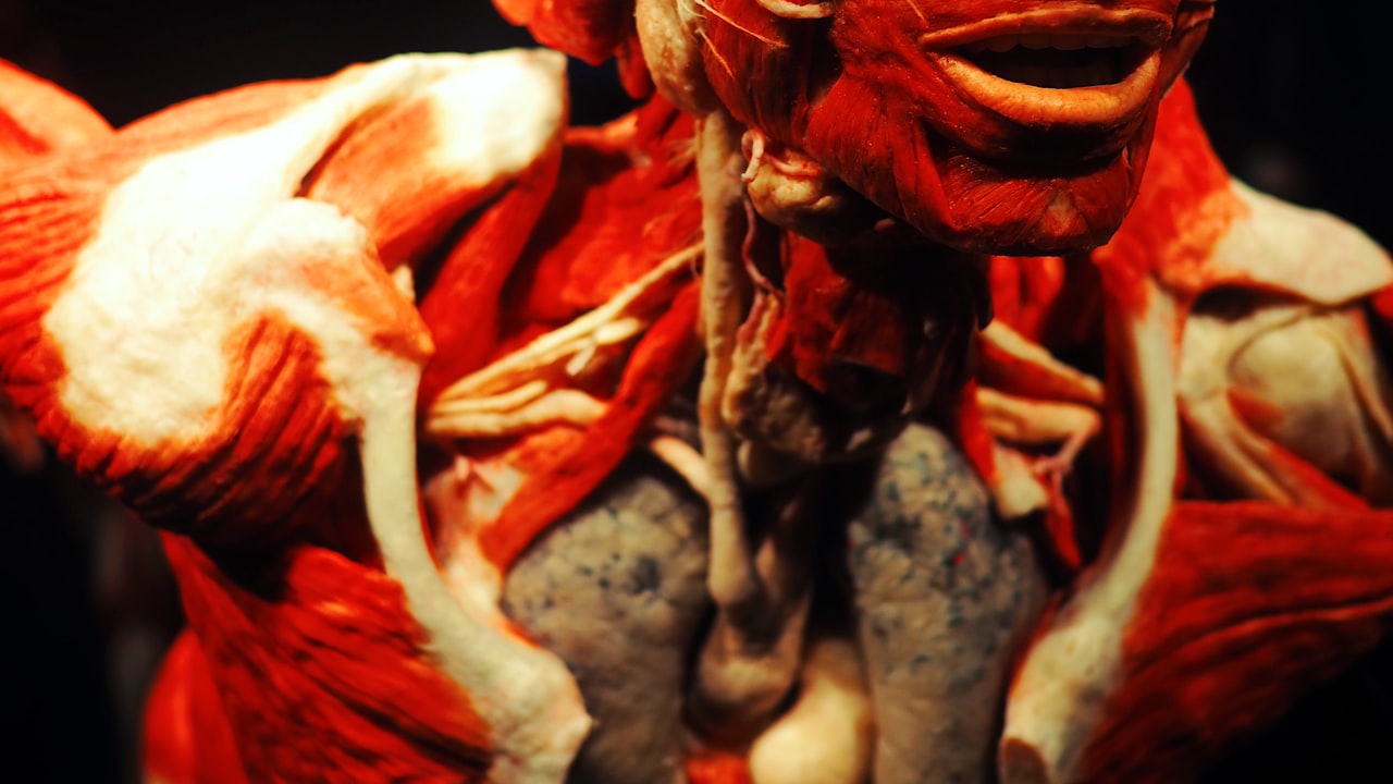 Why Do Law Enforcement Agencies Use Body-Worn Cameras?