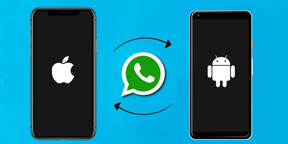 Transfer WhatsApp from Android to iOS in Clicks